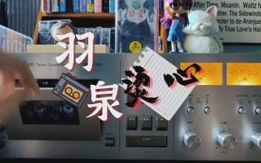 烫心吉他谱_羽泉_C调指法原版弹唱谱_图片六线谱