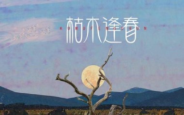 你说吉他谱_枯木逢春_C调指法原版弹唱谱_图片六线谱