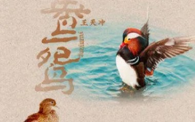 鸳鸯吉他谱_王天冲_G调原版弹唱谱_图片六线谱