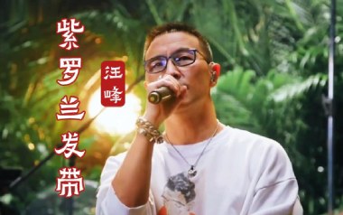 紫罗兰发带吉他谱_汪峰_G调指法弹唱谱_图片六线谱