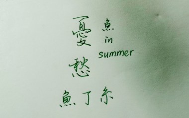 忧愁吉他谱_鱼丁糸_G调指法原版弹唱谱_图片六线谱