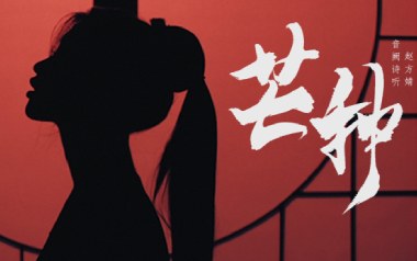 芒种吉他谱_音阙诗听/赵方婧_G调拍弦版_图片六线谱