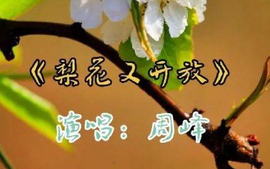 梨花又开放吉他谱_周峰_C调指法原版弹唱谱_图片六线谱