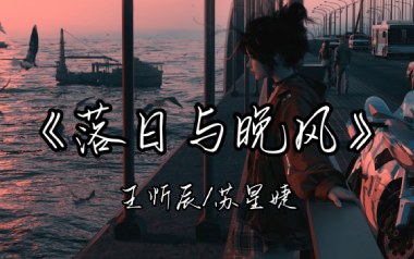 落日与晚风吉他谱_王忻辰/苏星婕_G调指法_图片六线谱