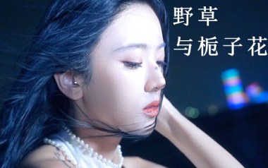 野草与栀子花吉他谱_林三七_G调原版弹唱谱_图片六线谱