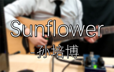 太阳花指弹吉他谱_孙培博_Sunflower原版指弹谱_独奏六线谱