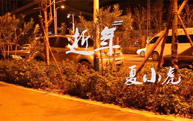 逝年吉他谱_夏小虎_G调原版吉他谱_吉他弹唱教学